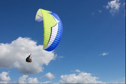 OZONE_BUZZ